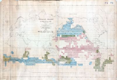 map003--USNavyWhaleChart--1851